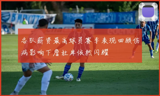 各队薪资最高球员赛季表现回顾伤病影响下詹杜库依然闪耀