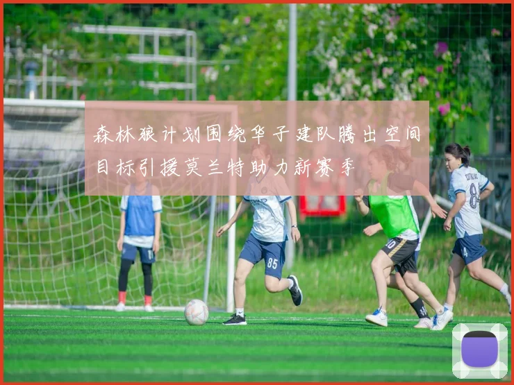 森林狼计划围绕华子建队腾出空间目标引援莫兰特助力新赛季